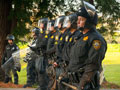 Police Raid and Destroy Occupy Santa Cruz Encampment in San Lorenzo Park