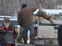 Eight Individuals Expose & Shame Salmon, ID Wolf & Coyote Killing Derby