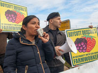 Boycott Driscoll’s Action in Watsonville