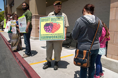 Watsonville Brown Berets Keep Pressure on Driscoll’s