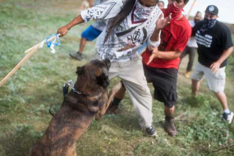 Protection of Sacred Sites Leads to Clash with Dakota Access Pipeline Private Security