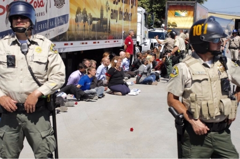 Hundreds Rally, Dozens Arrested in Effort to Save Chickens from Horrific Cruelty