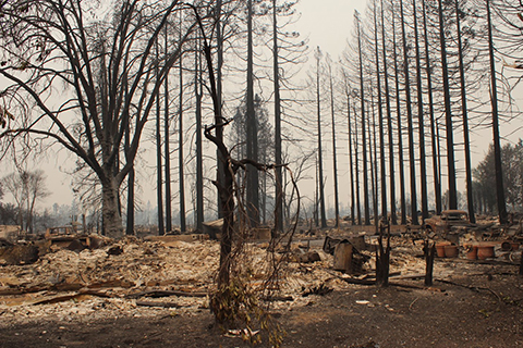 Fleeing Inferno and Suffering Blackouts, Northern Californians Call for Takeover of PG&E