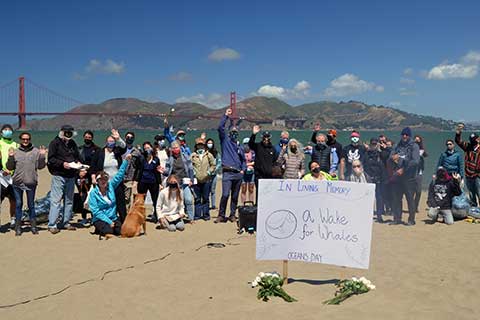 "A Wake for the Whales" Marks Bay Area Deaths, Calls for New Protections