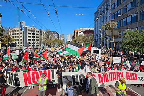 Record Numbers Stand Up Worldwide in Solidarity with Palestine