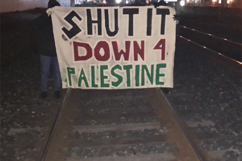 Taking Direct Action Against US Support for Israel's War on Gaza